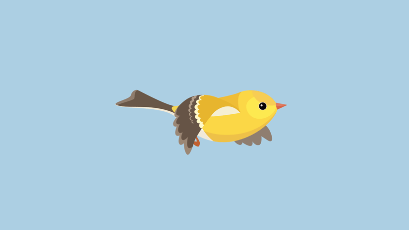 bird-wings-flying-feature.gif
